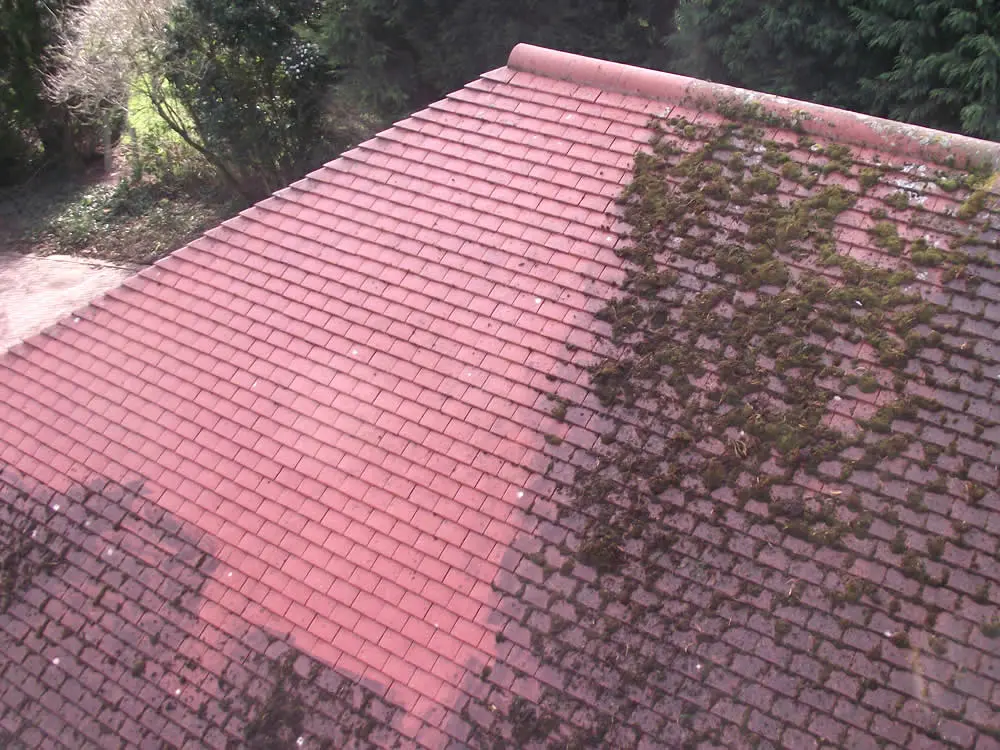 Roof Cleaning Norfolk
